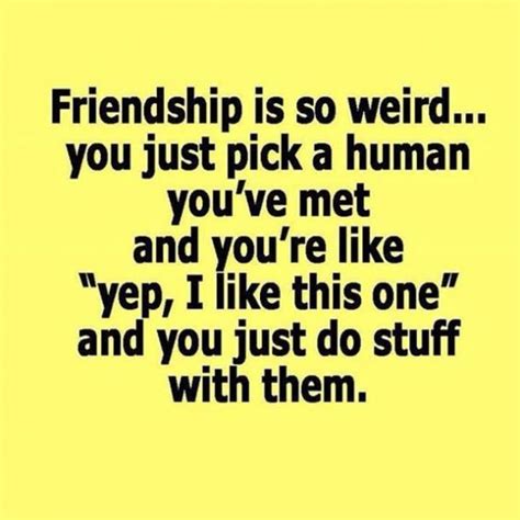 50 Funny Friendship Quotes For Best Friends To Use As Instagram Captions | Friendship quotes ...