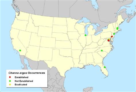 8. Distribution of Northern Snakehead in the United States, May 2007 | Download Scientific Diagram