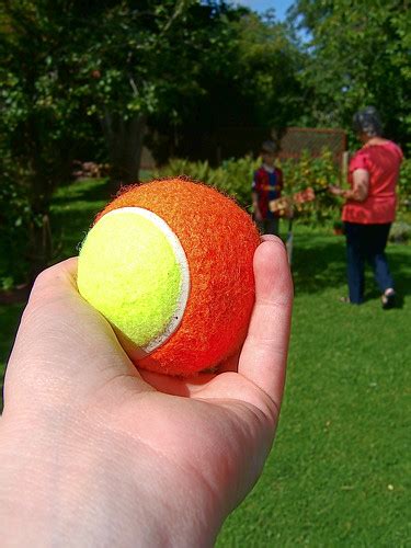 Orange/Yellow tennis ball | Andy Hay | Flickr