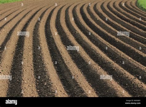 agriculture: freshly ploughed field Stock Photo - Alamy