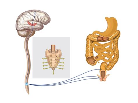 10 Treatments for Fecal Incontinence - Facty Health