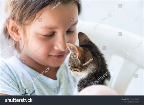 Little Girl Holding Baby Cat Kids Stock Photo 2187437011 | Shutterstock