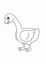 A Cute goose Coloring Page  Free Printable Pages sketch template