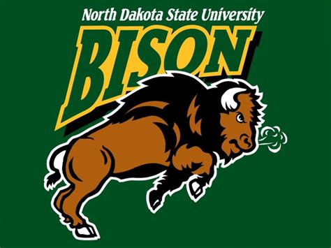 🔥 Free Download Ndsu Bison Football Love Hot Wallpaper by @wholder ...