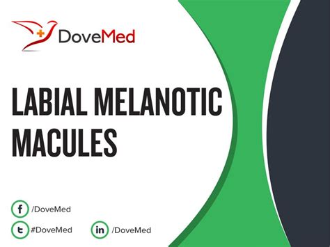 Labial Melanotic Macules