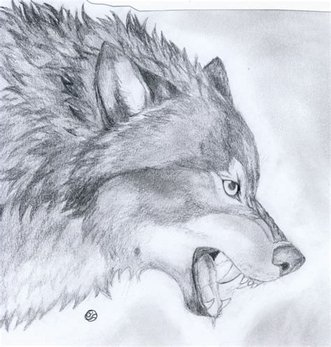 Growling Wolf Drawing at GetDrawings | Free download