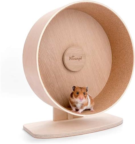 Amazon.com: large hamster wheel