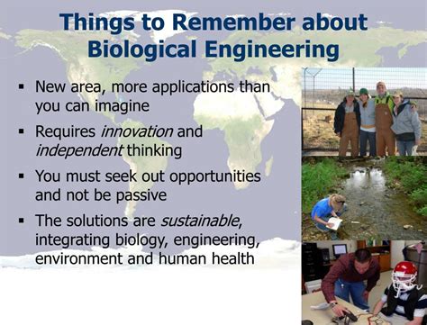 PPT - Biological Engineering PowerPoint Presentation, free download - ID:2398687