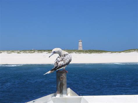 Baker Island National Wildlife Refuge, Baker Island – Travel Cravings