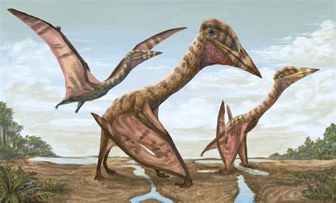 These 7 New Dinosaur Species Were Unearthed In 2022