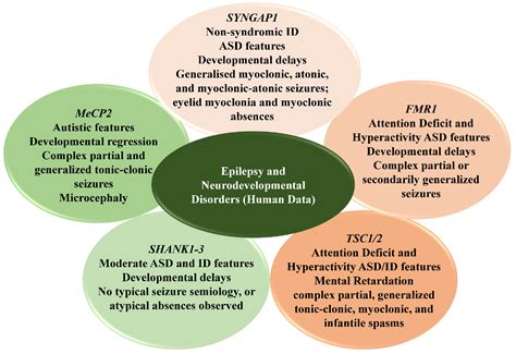 IJMS | Free Full-Text | Epilepsy Characteristics in Neurodevelopmental ...