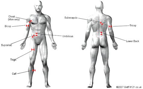 Wellness With Vashiell: How to measure your body composition?