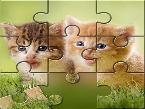 Play Cute Cats Puzzle game ftree Game Online For Free | Poki