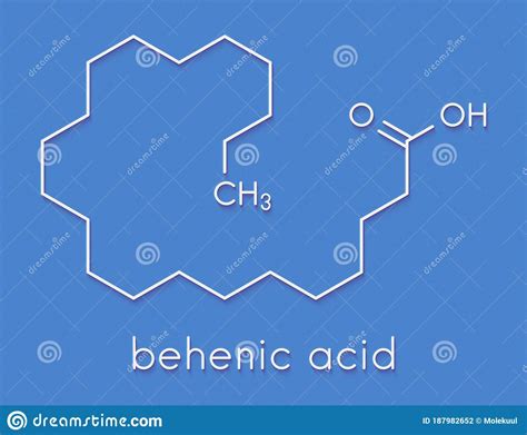 Behenic Acid Docosanoic Acid Saturated Fatty Acid Molecule. Skeletal ...