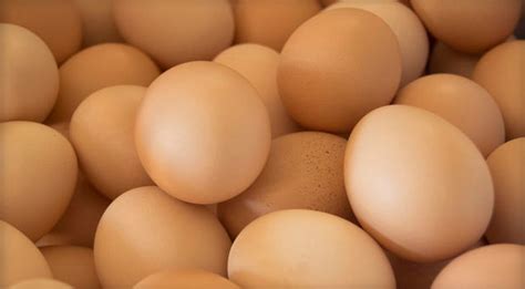 Eggs recalled after salmonella outbreak in 3 states | wtsp.com