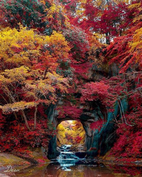 Kameiwa Cave, Kamogawa, Japan | Naturbilleder, Haveindretning, Haver