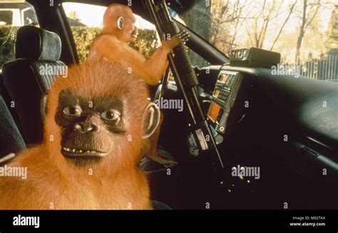 Jumanji Jumanji Usa 1995 Joe High Resolution Stock Photography and Images - Alamy