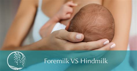 Foremilk VS Hindmilk | Willow Midwife Center