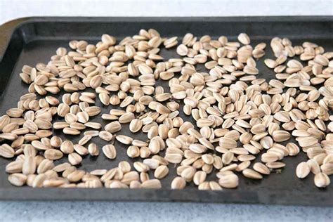 How to Harvest and Roast (In-Shell) Sunflower Seeds