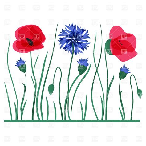 Wildflower Vector at Vectorified.com | Collection of Wildflower Vector ...