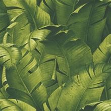 NW31000 | Tropical Banana Leaves | Wallpaper Boulevard