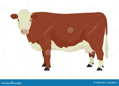 Herferd Cow Clipart