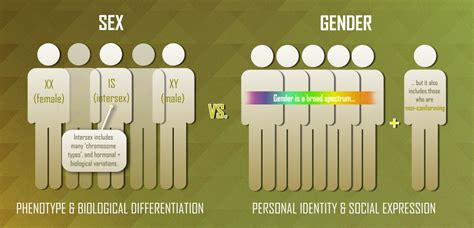 Let’s Talk About Sex, Binary? A Discussion About Sex, Gender, and Biology – SQ Online