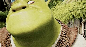 Shrek Read My Desc 3 GIF - Find & Share on GIPHY