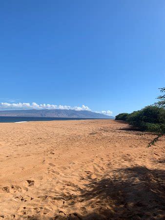 Polihua Beach (Lanai) - 2019 All You Need to Know BEFORE You Go (with Photos) - TripAdvisor