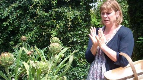 How to Harvest and Cook Globe Artichokes - YouTube