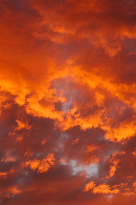 Free download | HD wallpaper: orange, clouds, sky, cloud - sky, orange color, sunset, beauty in ...