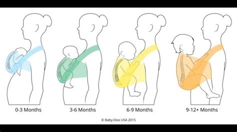 Babywearing positions as they age | Portage bebe, Portage, Bebe