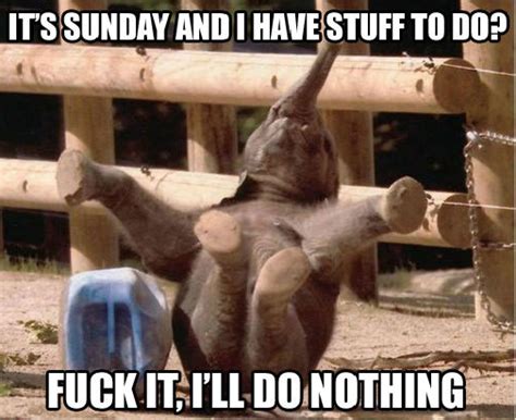 Lazy Sunday Memes - Enjoy Your Lazy Sunday! - Slapwank