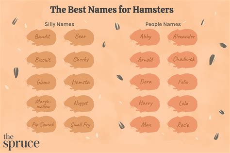 100 Names for Pet Hamsters