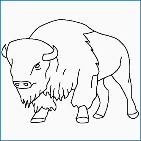 Buffalo Drawing For Kids at PaintingValley.com | Explore collection of Buffalo Drawing For Kids