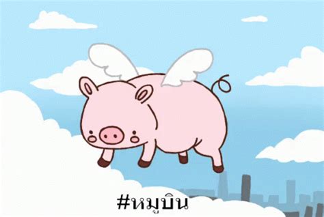 หมูบิน หมูมีปีก GIF - FlyingPig Pig - Discover & Share GIFs