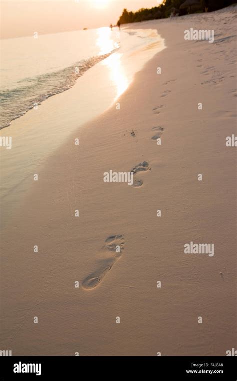 Footprints on sand in beach Stock Photo - Alamy