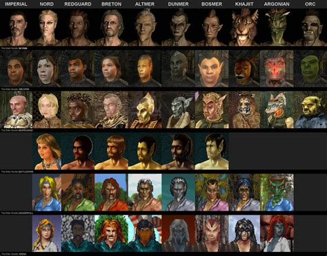 The Evolution of all races in The Elder Scrolls series. : r/gaming