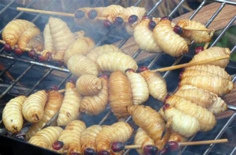 Challenge Yourself with Coconut Worms - Mekong Delta’s Signature Dish! - i Tour Vietnam Travel ...