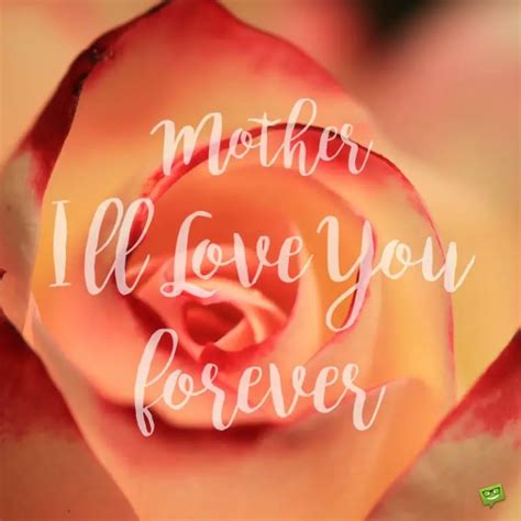 "I Love You, Mom" Messages | Love Quotes for my Dear Mother