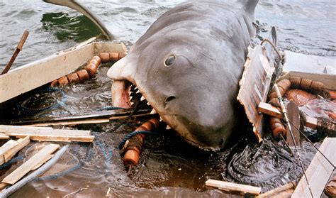 Blogs - Six Things You Didn’t Know About Jaws - AMC
