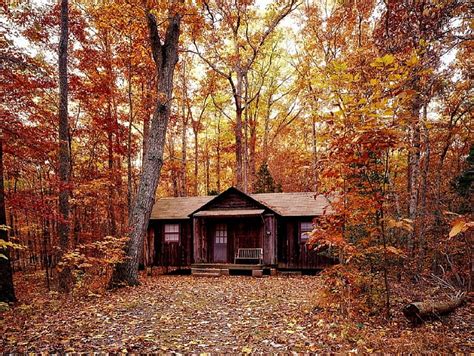 Fall, Cabin, HD wallpaper | Peakpx