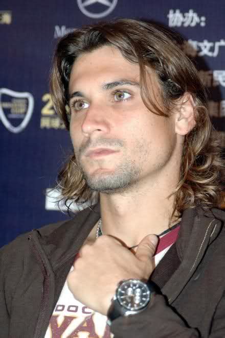 Picture of DAVID FERRER