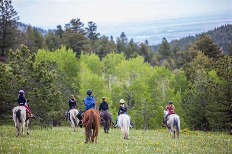 Focus Day Camps | Horse Back Riding Camp Boulder | Colorado Mountain