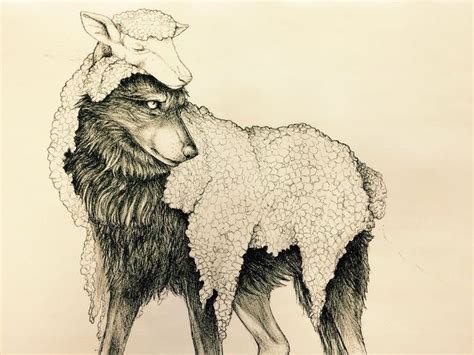 wolf in sheep’s clothing: change to ram and keep full bodied | Sheep ...