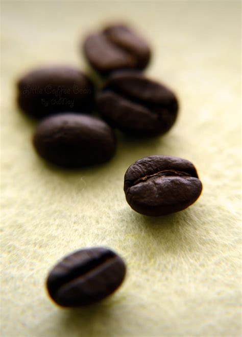 Coffee Beans by OCMay on DeviantArt
