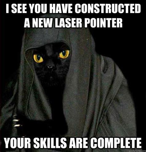 I see you have constructed a new laser pointer Your skills are complete - Darth Meow - quickmeme