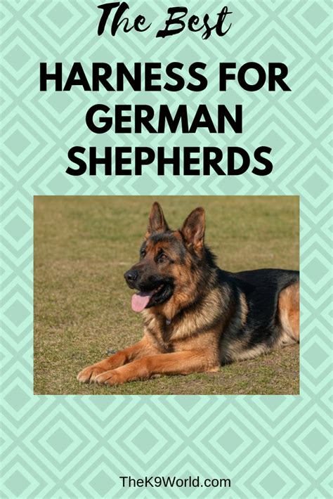 Best harnesses for German Shepherds - TheK9World | Dog harness, German shepherd, German shepherd ...