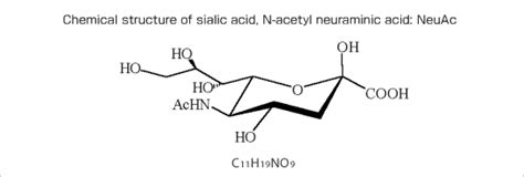 Sialic acid - Alchetron, The Free Social Encyclopedia