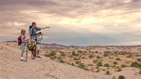 Visit The Largest State Park In California For Incredible Hiking Adventures